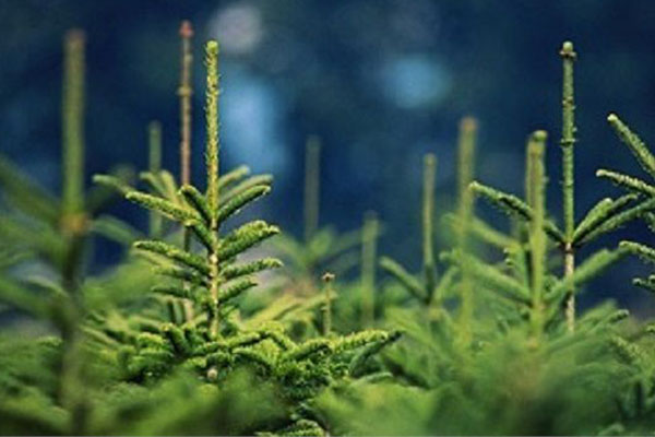 Долгожданная международная специализированная выставка-ярмарка «ЛЕСДРЕВТЕХ» !